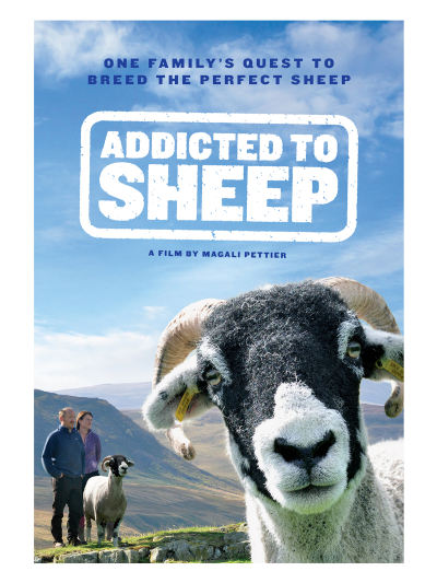 ‘~Addicted to Sheep海报,Addicted to Sheep预告片 -2021 ~’ 的图片