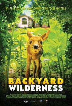 ~Backyard Wilderness海报,Backyard Wilderness预告片 -2022 ~