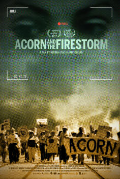 ~Acorn and the Firestorm海报,Acorn and the Firestorm预告片 -2022 ~