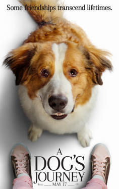 ~一条狗的使命2海报,一条狗的使命2预告片 -2022年影视海报 ~