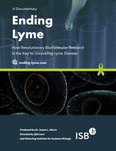 ~Ending Lyme海报,Ending Lyme预告片 -2022年影视海报 ~