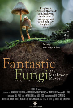 ~Fantastic Fungi海报,Fantastic Fungi预告片 -2022 ~