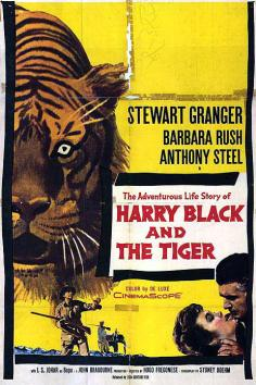 ~英国电影 Harry Black and the Tiger海报,Harry Black and the Tiger预告片  ~