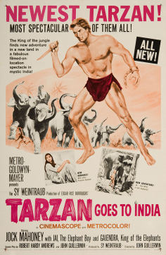 ~英国电影 Tarzan Goes to India海报,Tarzan Goes to India预告片  ~