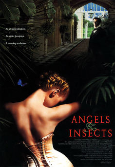 ~英国电影 Angels and Insects海报,Angels and Insects预告片  ~