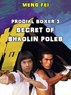 ‘~Secret of the Shaolin Poles海报~Secret of the Shaolin Poles节目预告 -台湾电影海报~’ 的图片