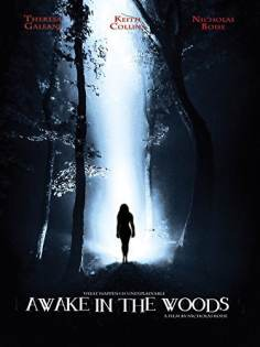 ~Awake in the Woods海报,Awake in the Woods预告片 -2021 ~