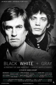 Black White + Gray: A Portrait of Sam Wagstaff and Robert Mapplethorpe海报,Black White + Gray: A Portrait of Sam Wagstaff and Robert Mapplethorpe预告片 _德国电影海报 ~