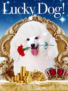 ‘~国产电影 Lucky Dog海报,Lucky Dog预告片  ~’ 的图片