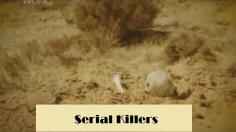~英国电影 Serial Killers海报,Serial Killers预告片  ~