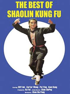 ‘~The Best of Shaolin Kung Fu海报~The Best of Shaolin Kung Fu节目预告 -台湾电影海报~’ 的图片