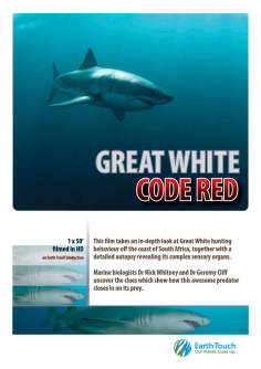 ‘~Great White Code Red海报,Great White Code Red预告片 -2022 ~’ 的图片