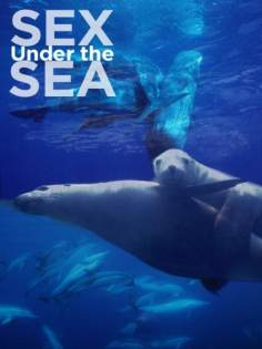 ‘~Sex Under the Sea海报~Sex Under the Sea节目预告 -2011电影海报~’ 的图片