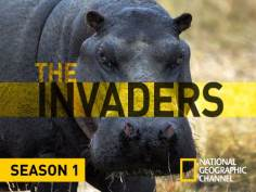 ~The Invaders海报~The Invaders节目预告 -2011电影海报~