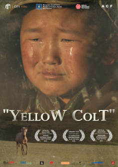 ‘~韩国电影 Yellow Colt海报,Yellow Colt预告片  ~’ 的图片
