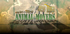 ~Animal Movers海报~Animal Movers节目预告 -2014电影海报~