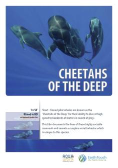 ‘~Cheetahs of the Deep海报~Cheetahs of the Deep节目预告 -2014电影海报~’ 的图片