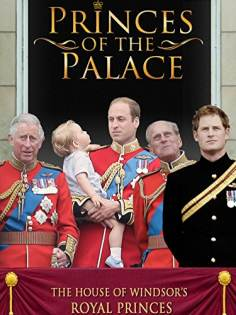 ‘~Princes of the Palace海报,Princes of the Palace预告片 -欧美电影海报 ~’ 的图片