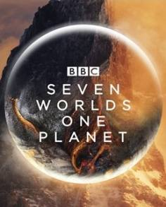 ~Seven Worlds One Planet海报,Seven Worlds One Planet预告片 -2022年影视海报 ~