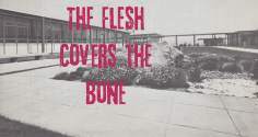 ~The Flesh Covers the Bone海报,The Flesh Covers the Bone预告片 -2022 ~