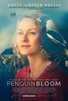 ‘~企鹅布鲁姆海报,企鹅布鲁姆预告片 -澳大利亚电影海报 ~’ 的图片