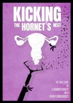 ~美国电影 Kicking the Hornet's Nest海报,Kicking the Hornet's Nest预告片  ~
