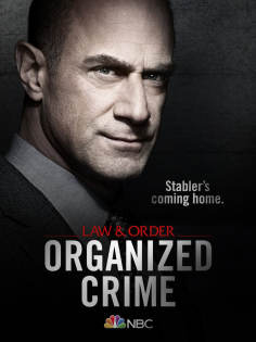 ~美国电影 法律与秩序：组织犯罪 第一季海报,法律与秩序：组织犯罪 第一季预告片  ~