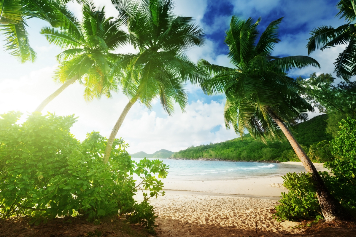 ‘~大海,沙滩,棕榈树,天堂,夏天,海岸风景图片 4k美丽的小姐姐超清桌面桌面背景’ 的图片
