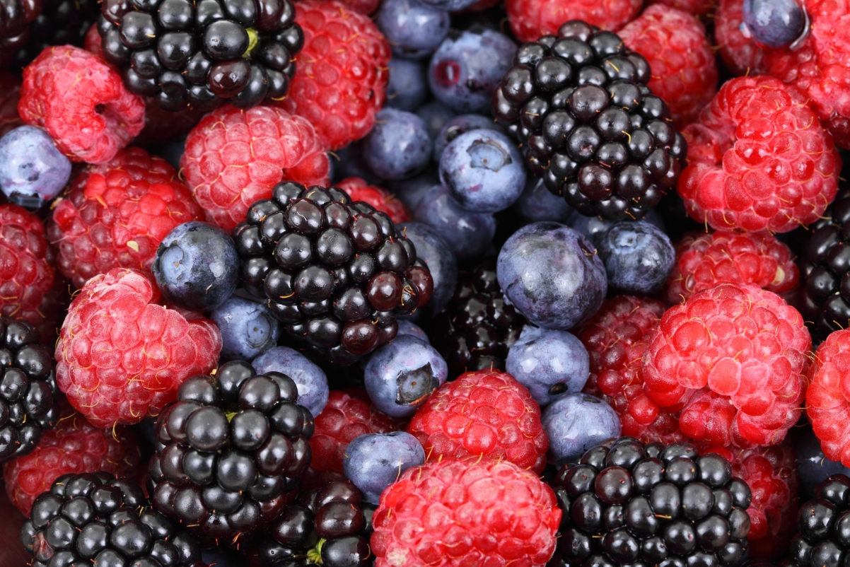 ‘~黑莓 蓝莓 森林 新鲜 水果 4K图片’ 的图片