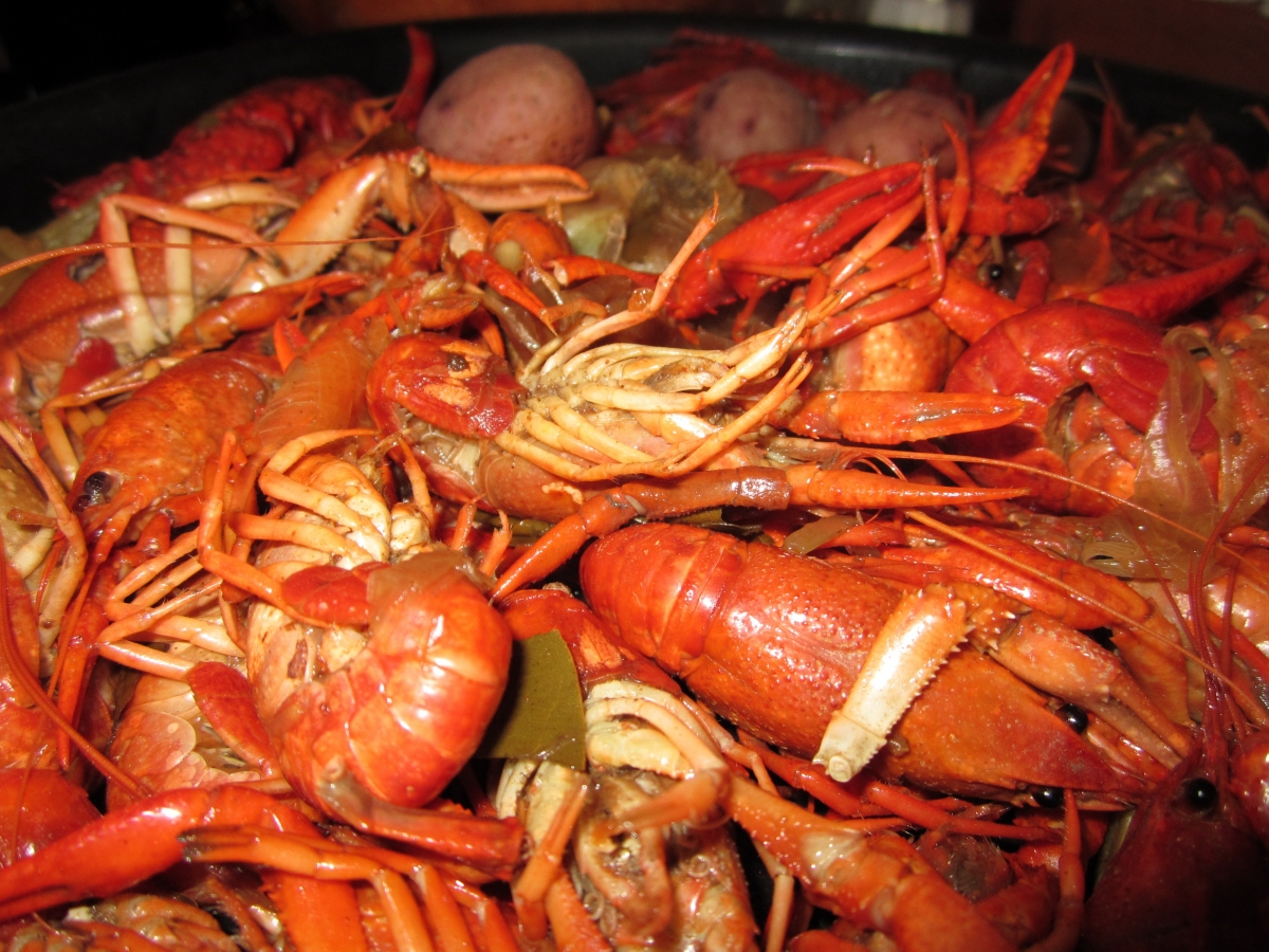 ‘~小龙虾 水煮 新奥尔良 海鲜 小龙虾4K美食图片’ 的图片