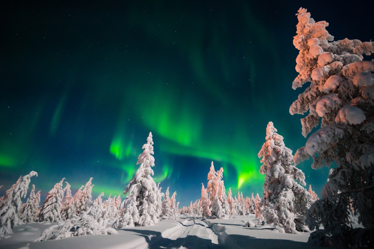 ‘~天空 晚上 道路 树木 北极光 冬季 雪 星空 4K桌面背景’ 的图片