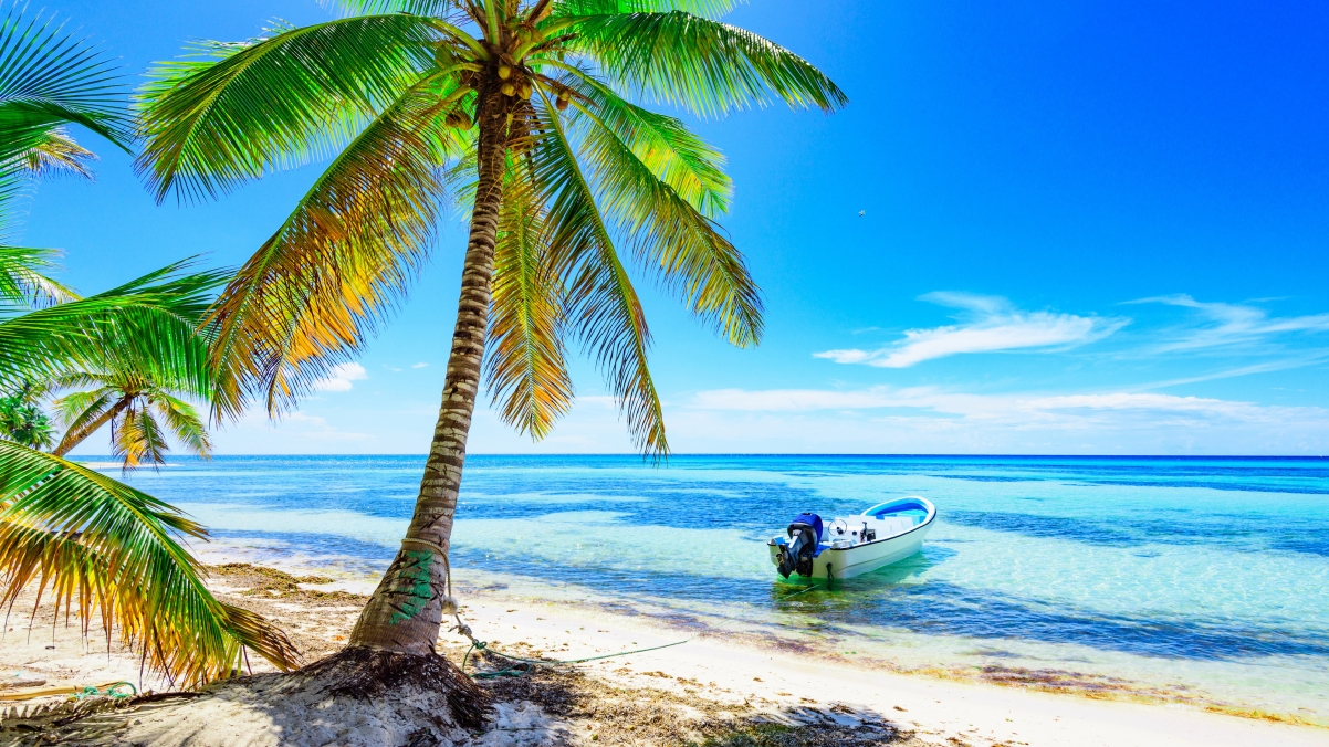 ‘~阳光 热带 夏天 大海 沙滩 棕榈树 岛屿 船 海边风景4K桌面背景3840×2160’ 的图片