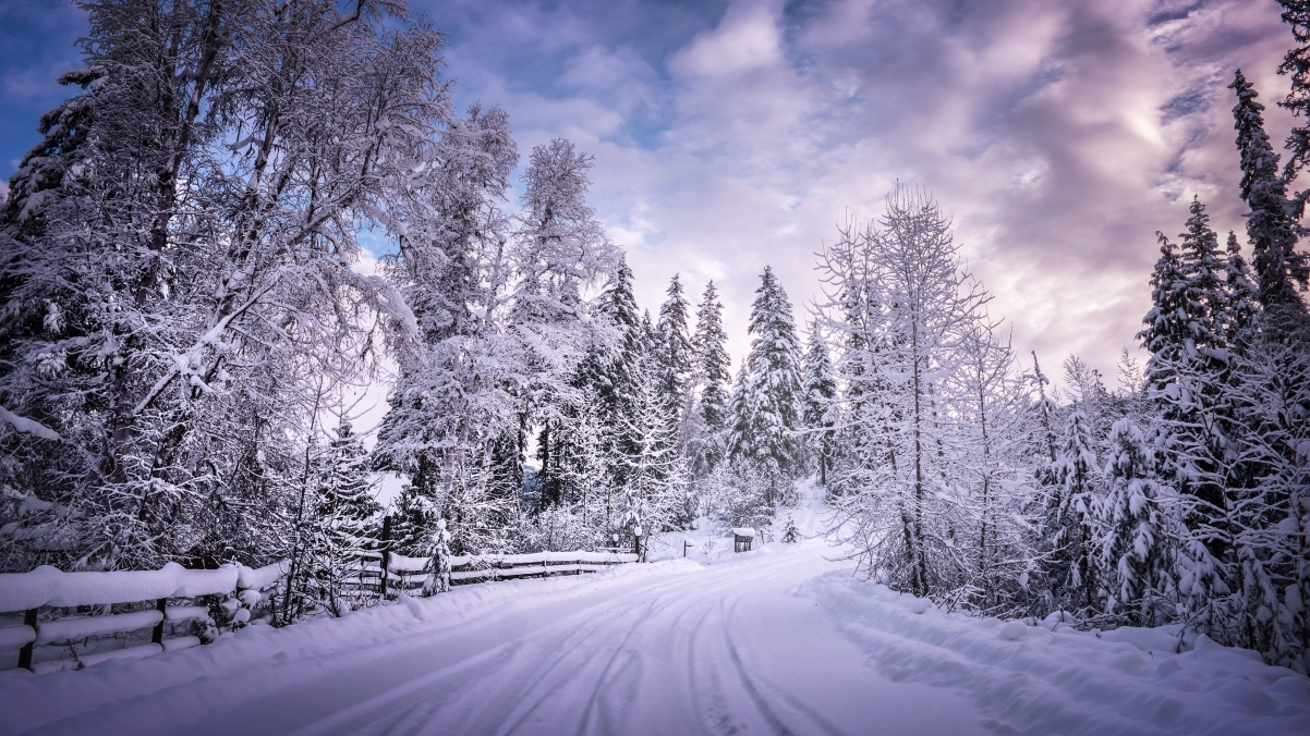 ‘~不列颠哥伦比亚,冬季风景4k桌面背景’ 的图片