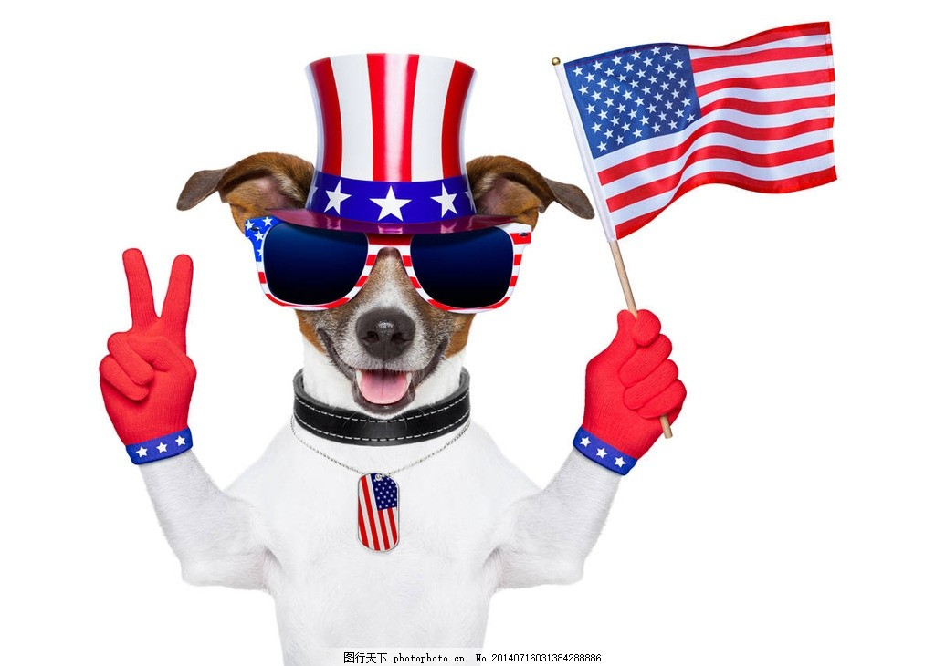 美国国庆独立日,小狗,美国独立日,美国国旗,星条旗,美国节日,庆祝节日