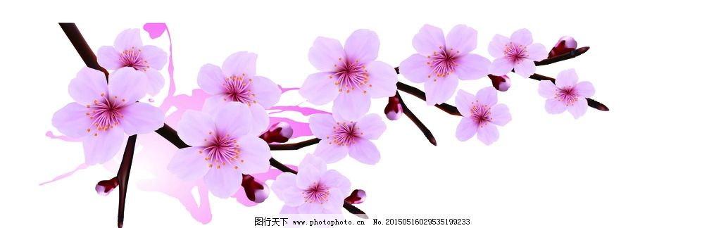 ‘~天花樱花图案图片_图标元素_平面创作元素-  ~’ 的图片