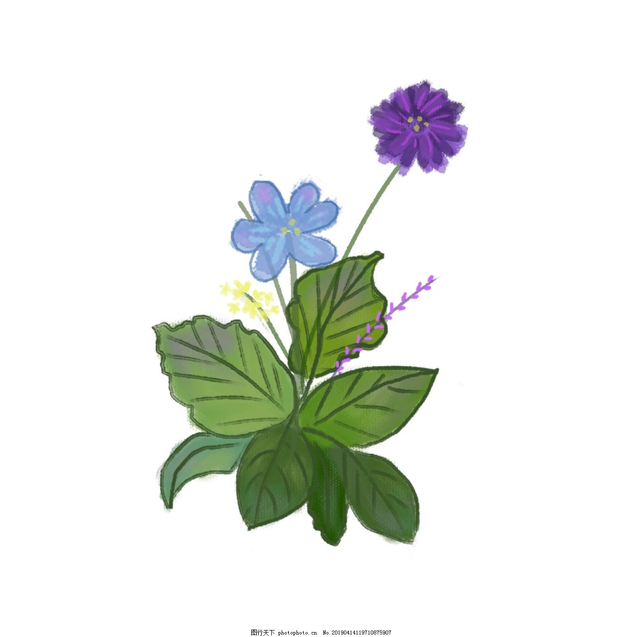 ‘~小清新的蓝紫色花朵图片_装饰图案_平面创作元素-  ~’ 的图片