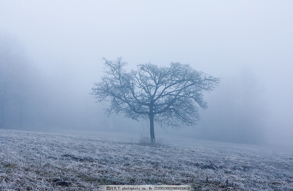 ‘~冬天雾图片_旅游摄影_自然景观-  ~’ 的图片