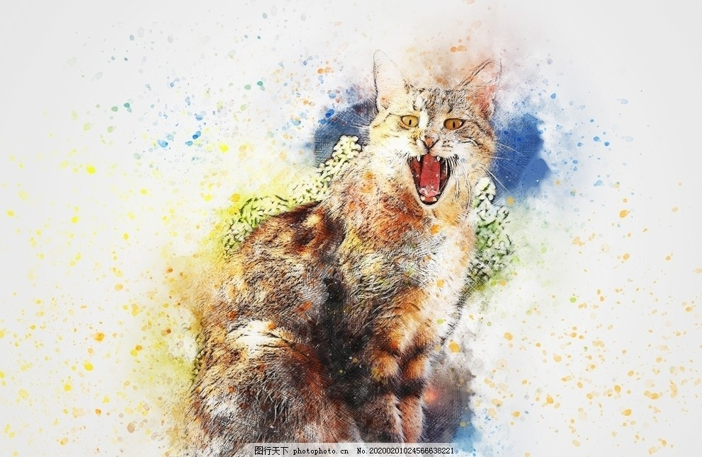 动物水彩画,猫,宠物猫,小猫猫,喵,白猫,瞄