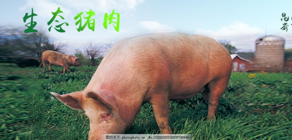 ‘~生鲜猪肉详情创意海报平面创作图片_海报平面创作_广告创意-  ~’ 的图片