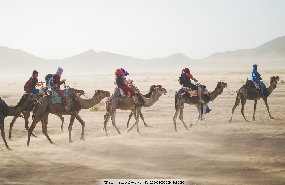 ‘~骆驼图片_旅游摄影_自然景观-  ~’ 的图片