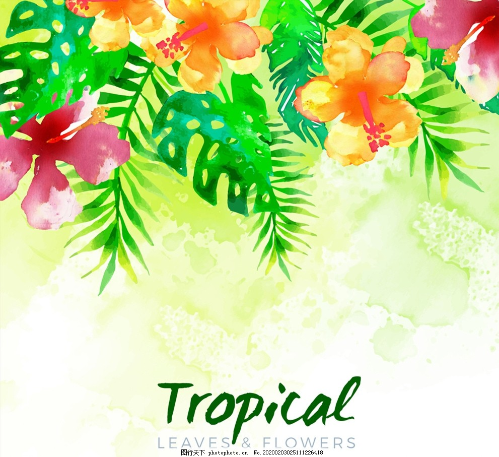 ‘~水彩绘美丽热带花卉图片_花草_生物世界-  ~’ 的图片