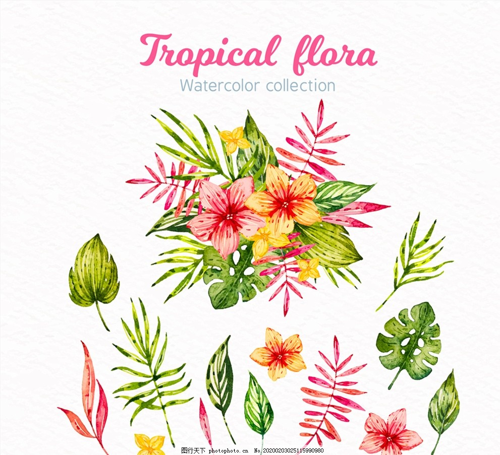 ‘~水彩绘美丽热带花束图片_花草_生物世界-  ~’ 的图片
