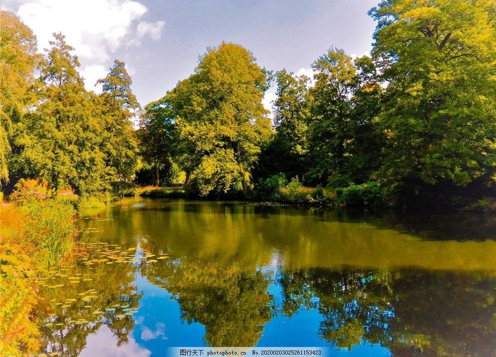 ‘~池塘边的树林图片_树木树叶_生物世界-  ~’ 的图片