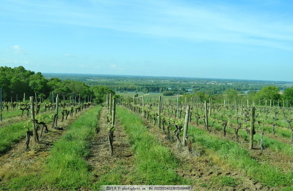 ‘~法国葡萄酒庄园图片_旅游摄影_自然景观-  ~’ 的图片