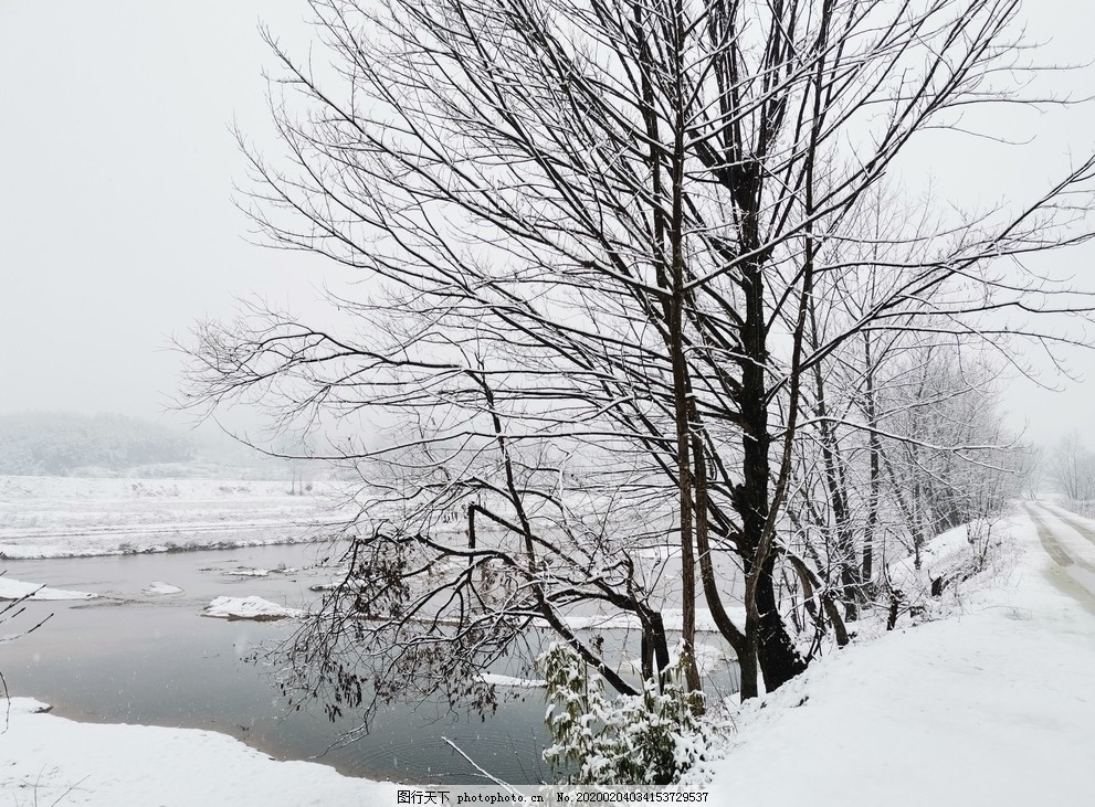 冬天的雪,冬天的河,下雪,积雪,雪地,小河,摄影