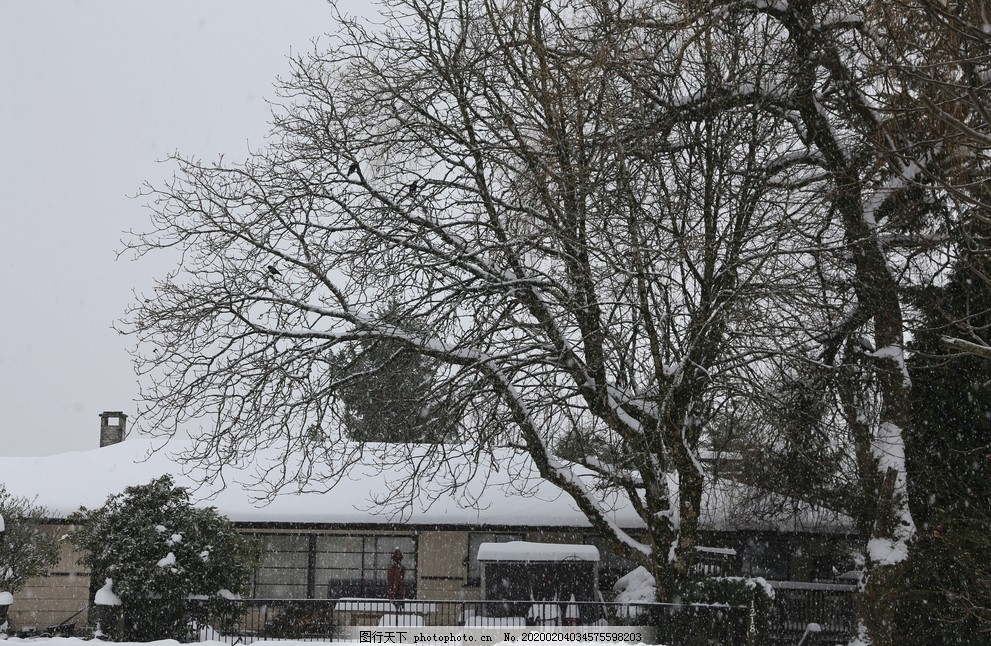 ‘~下雪房屋 白雪 别墅 房屋 冬图片_田园风光_自然景观-  ~’ 的图片