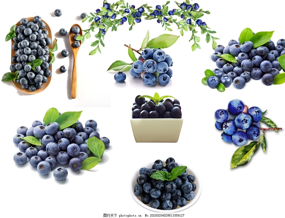 ‘~蓝莓素材图片_平面创作案例_广告创意-  ~’ 的图片